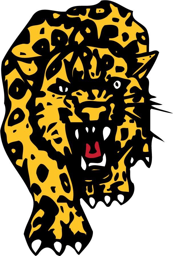 Southern Jaguars 1985-1993 Primary Logo diy iron on heat transfer